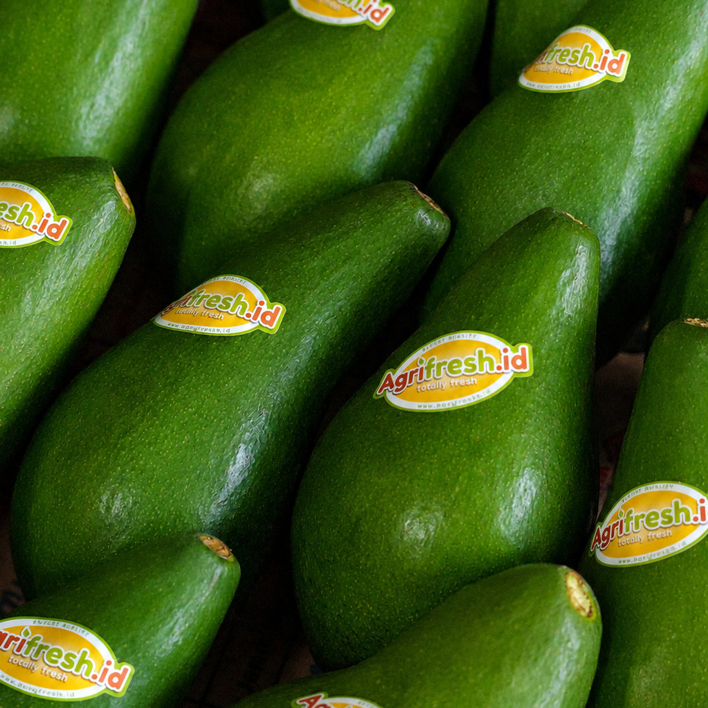 Avocado