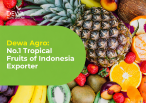 DewaAgro-No.1-Tropical-Fruits-of-Indonesia-Exporter
