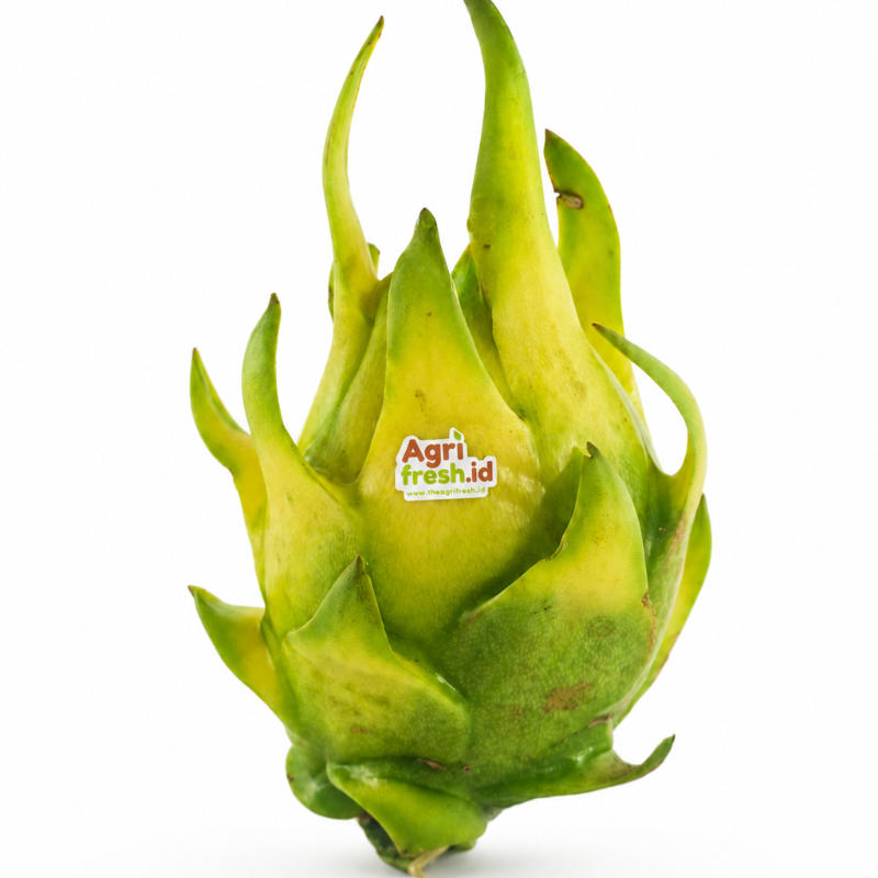 Yellow Dragon