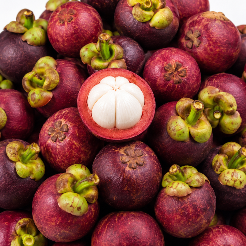 Mangosteen