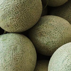 Melon Sky Rocket