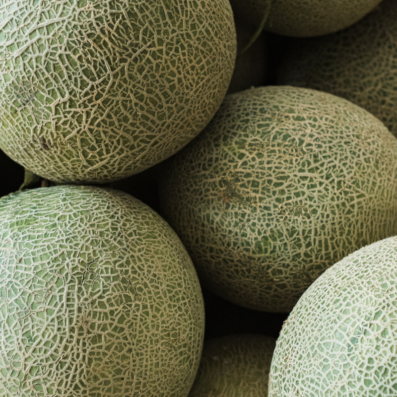 Melon Sky Rocket
